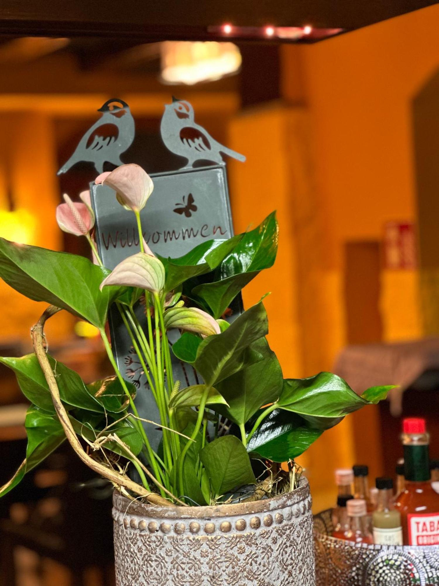 Gasthof Hasen Grill Masters Geislingen エクステリア 写真